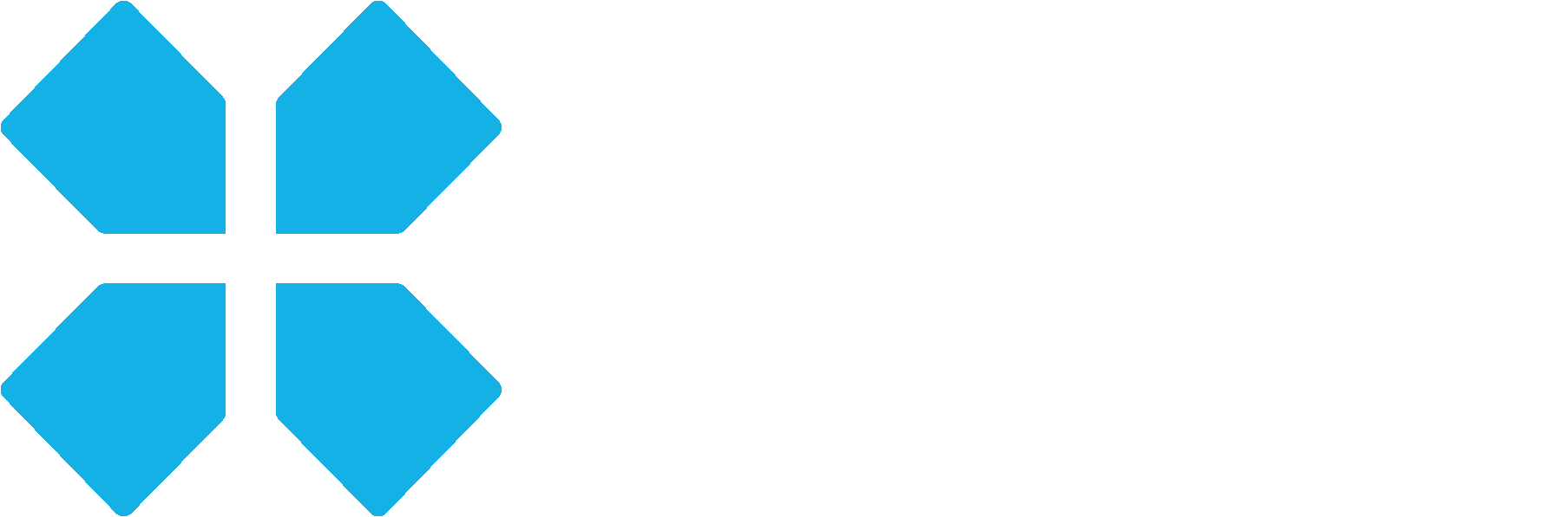 The Selwyn Foundation Logo