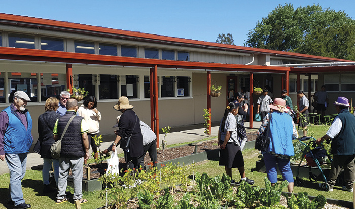 Exploring the market garden at Otara’s Ferguson Intermediate School,before meeting Temple masters at Chua Bao An Buddhist Temple.